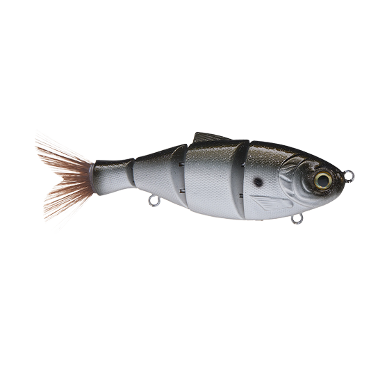 BD Shad Swimbait – Duckett Fishing