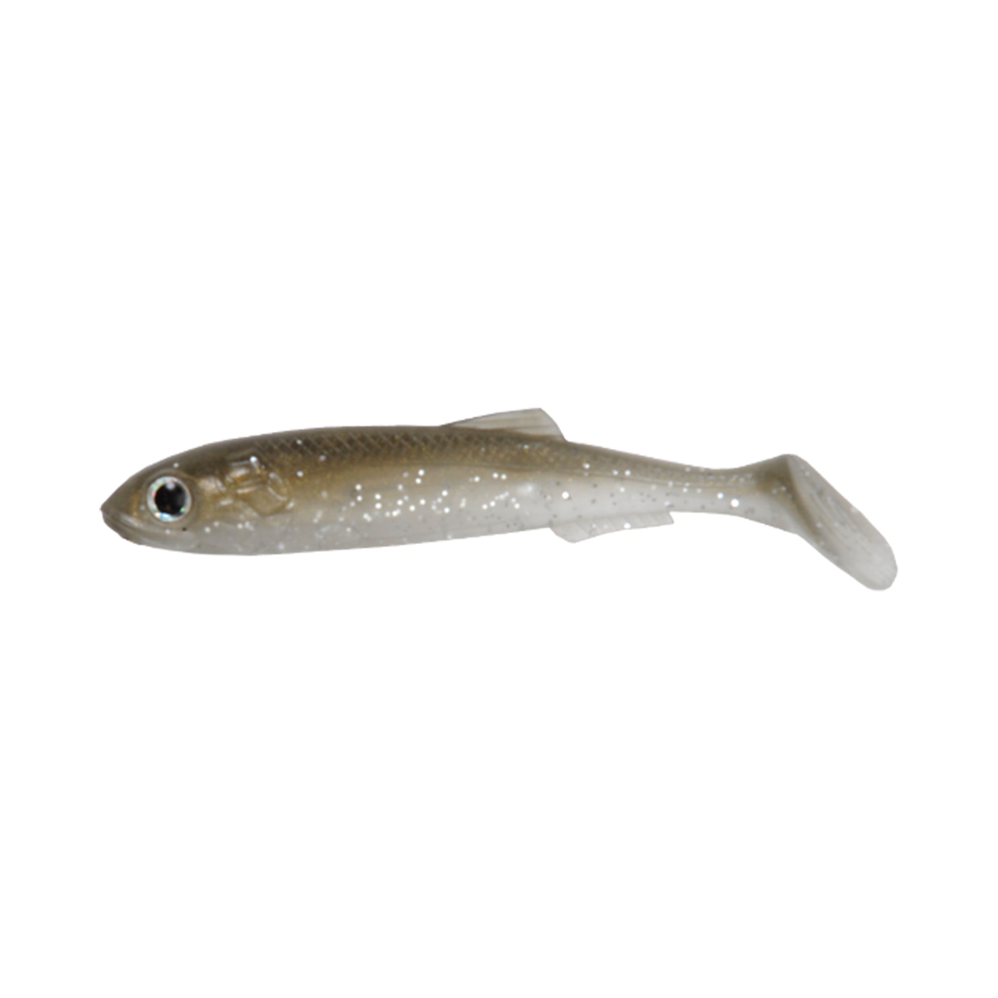 RT Shad