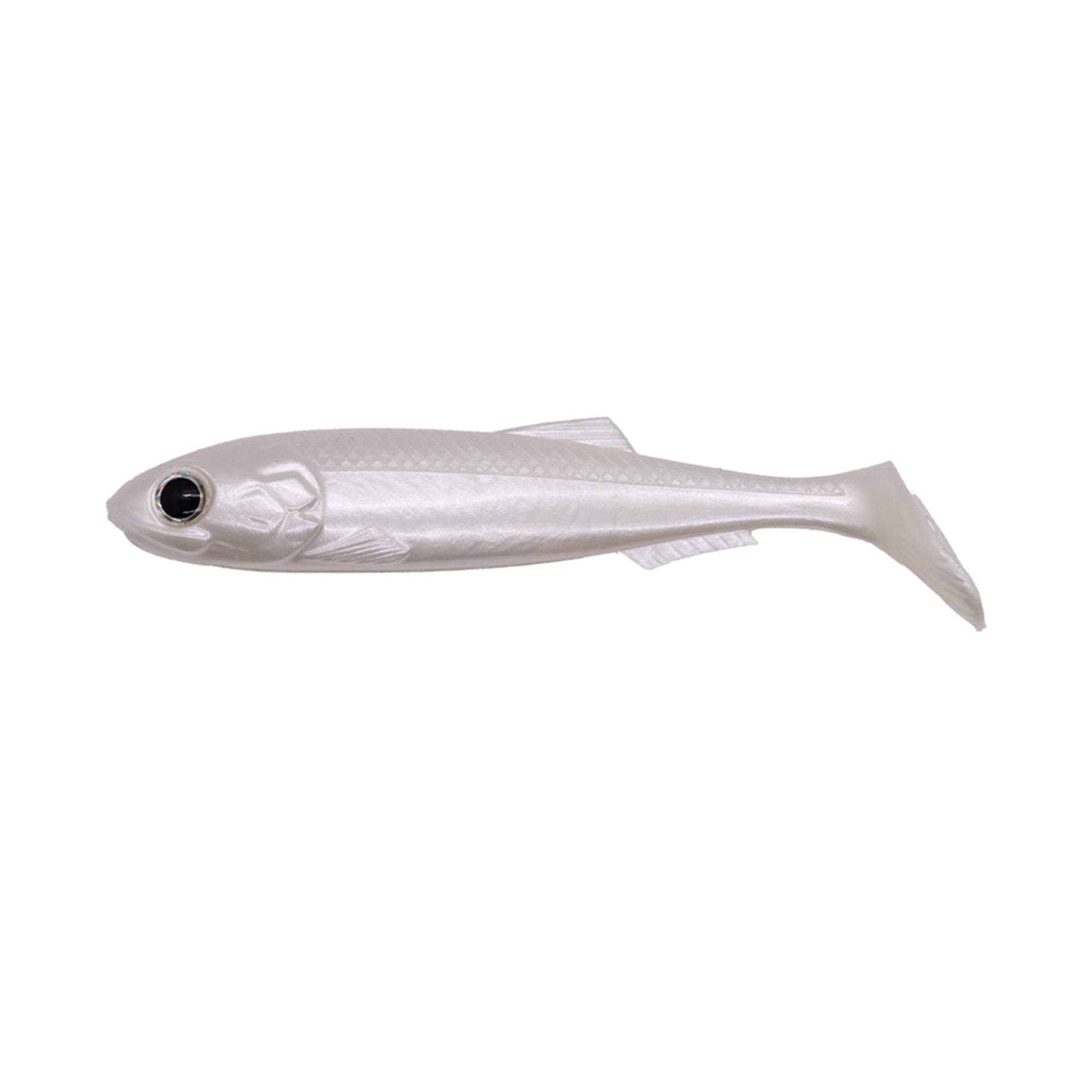 RT Shad