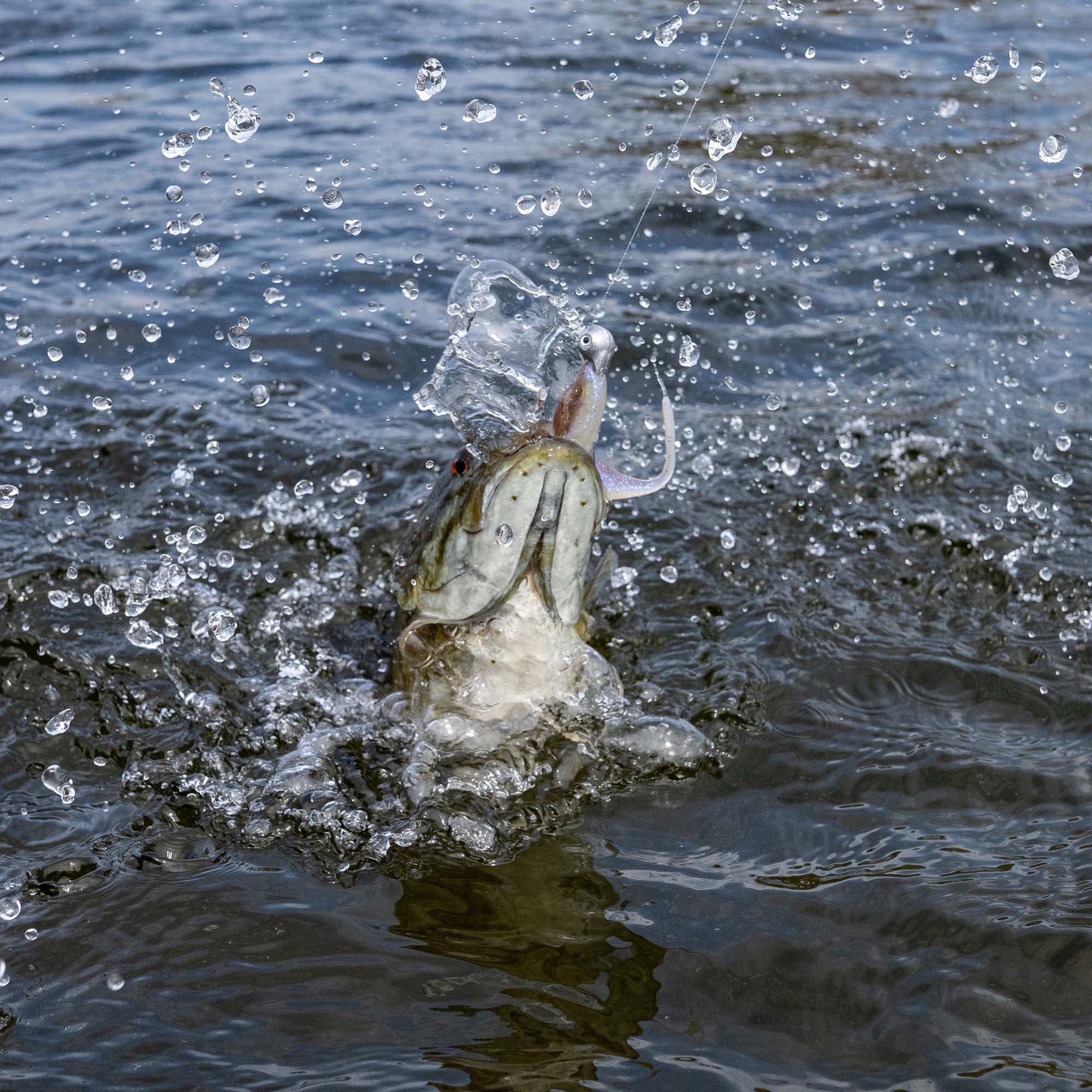 Sway Minnow