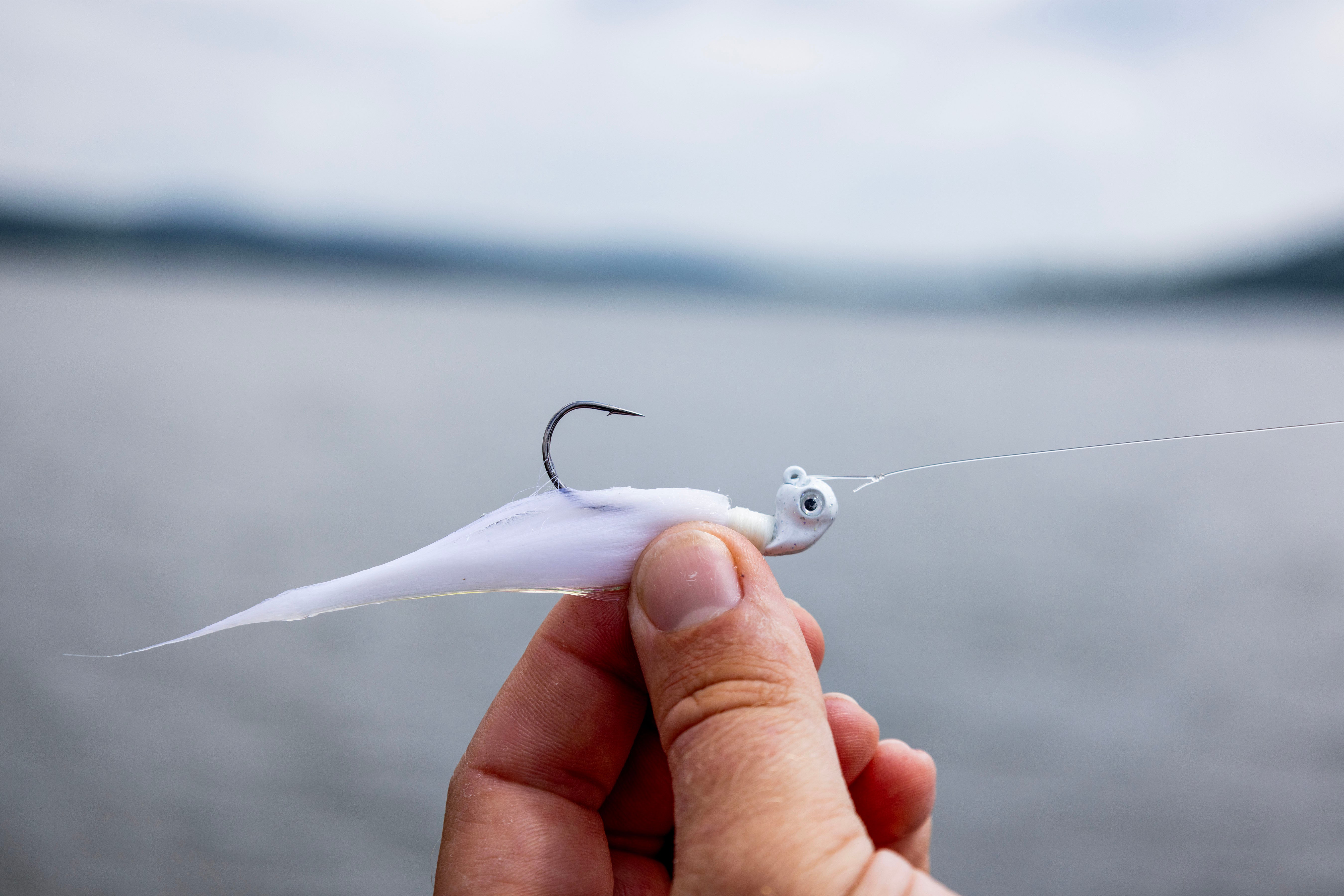 Sway Hair Jig